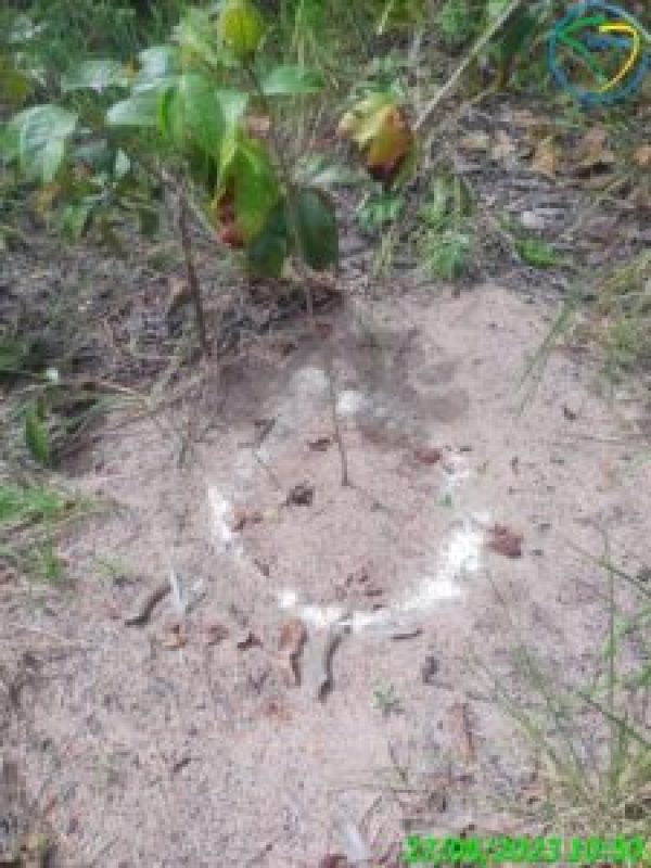 aduba-cober-1-225x300