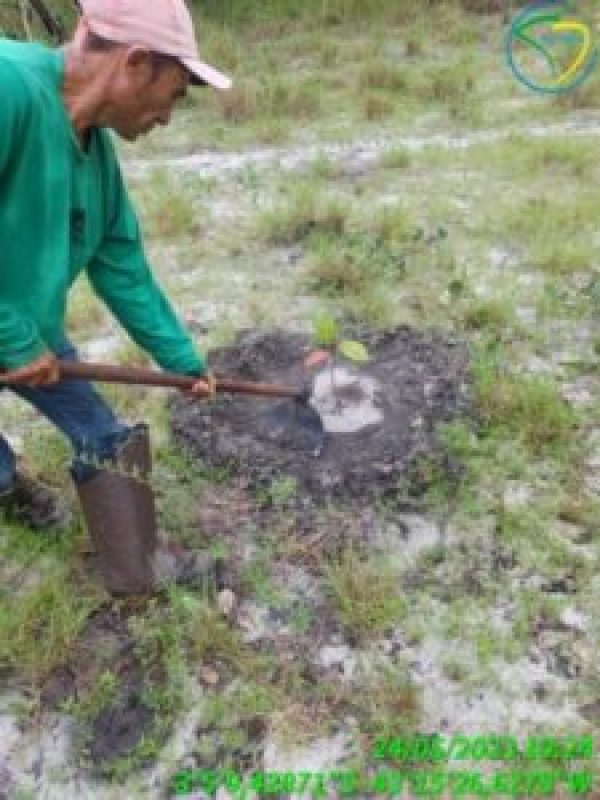 coroamento-1-225x300