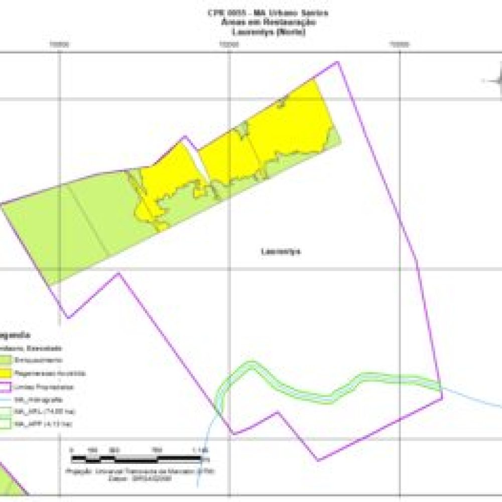 laurentys-norte-300x263