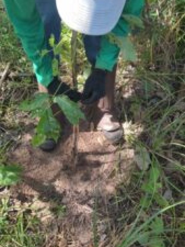 tutoramento-1-169x300