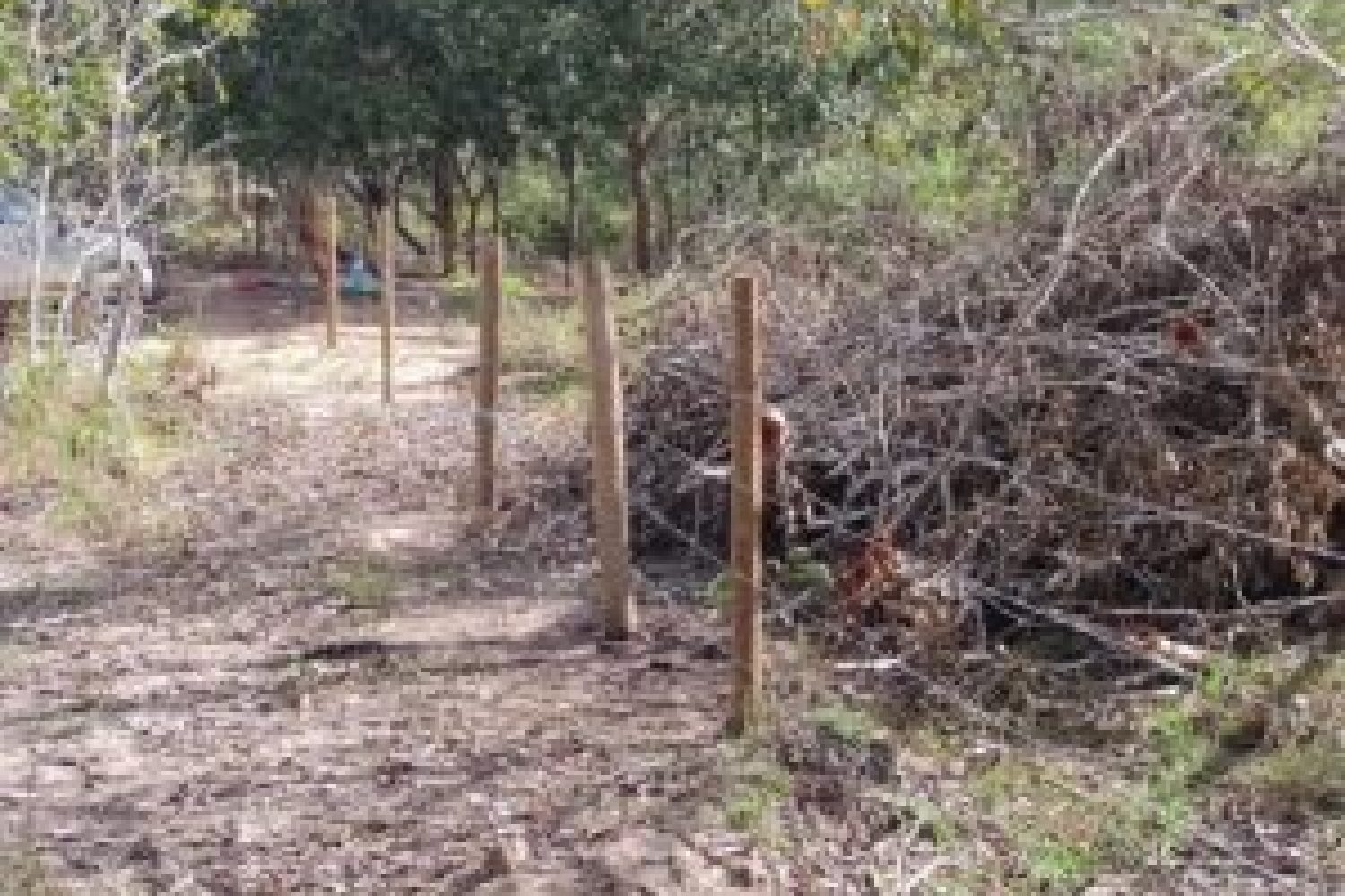 whatsapp-image-2023-06-21-at-195603-300x228