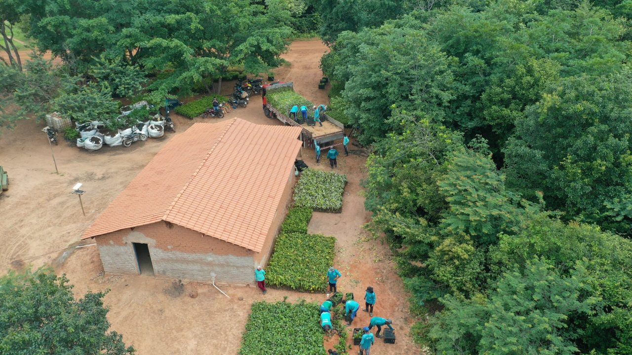 WhatsApp Image 2025-04-02 at 17.43.35