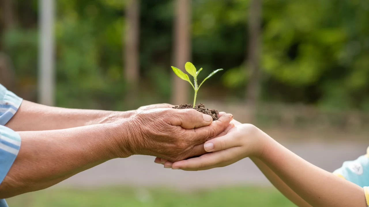 elderly-person-children-holding-plant