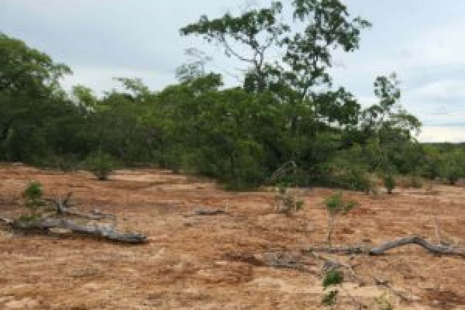 Fazenda Chapada Grande