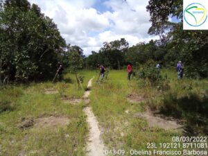 limpeza da área de plantio da Sra. obelina