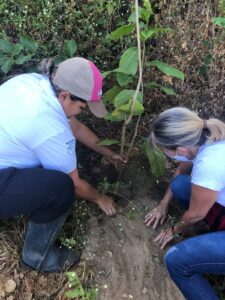Técnica Agropecuária Juliane Morais plantando mudas nativas de Ipê amarelo com professora da escola