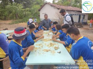 Oficina de produção de mudas em Natividade