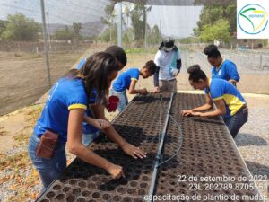 Oficina de produção de mudas em Natividade