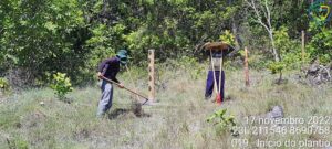 Preparo de solo em área cercada para plantio