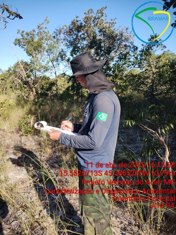 Figura-11---Identificação-de-espécies-arbóreas-do-Cerrado