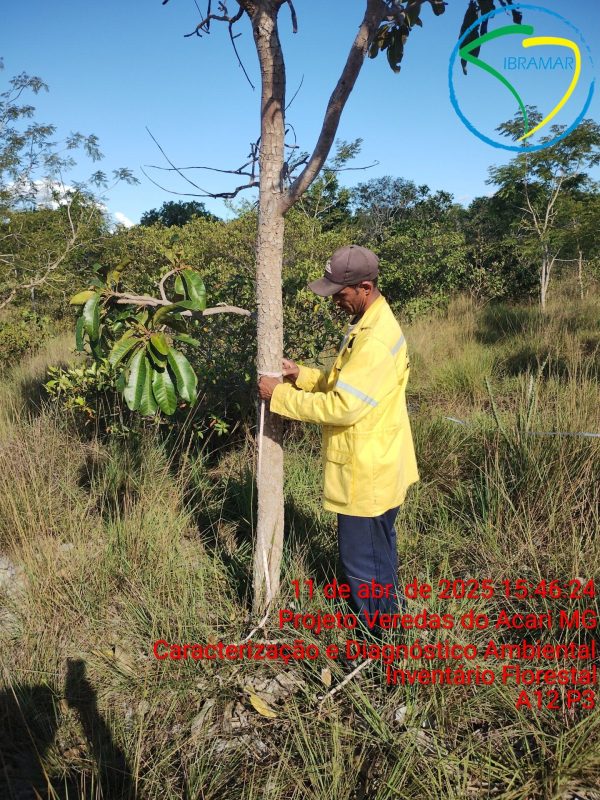 Projeto Veredas do Acari MG
Caracterização e Diagnóstico Ambiental 
Inventário Florestal
A12 P3