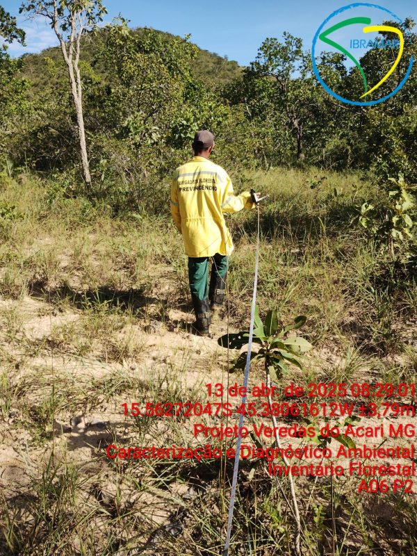 Projeto Veredas do Acari MG
Caracterização e Diagnóstico Ambiental 
Inventário Florestal
A06 P2