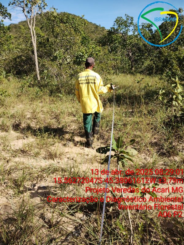 Figura-13---Identificação-de-espécies-arbóreas-do-Cerrado