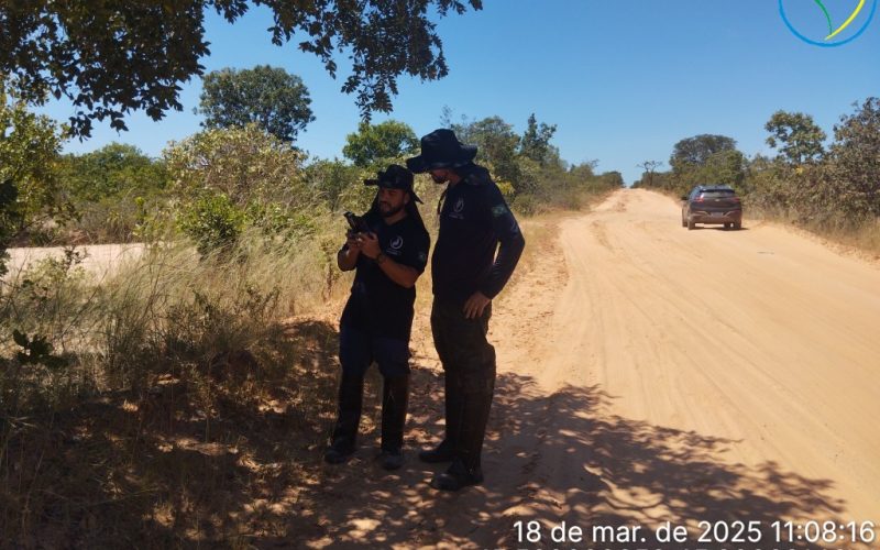 Aerolevantamento com drone