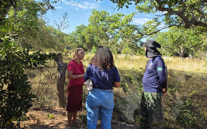 Propriedade da dona Eva