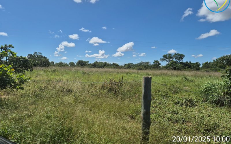 TimePhoto_20250120_100021