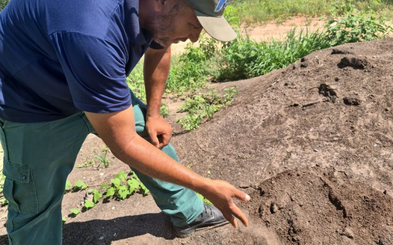 TimePhoto_20250120_100349