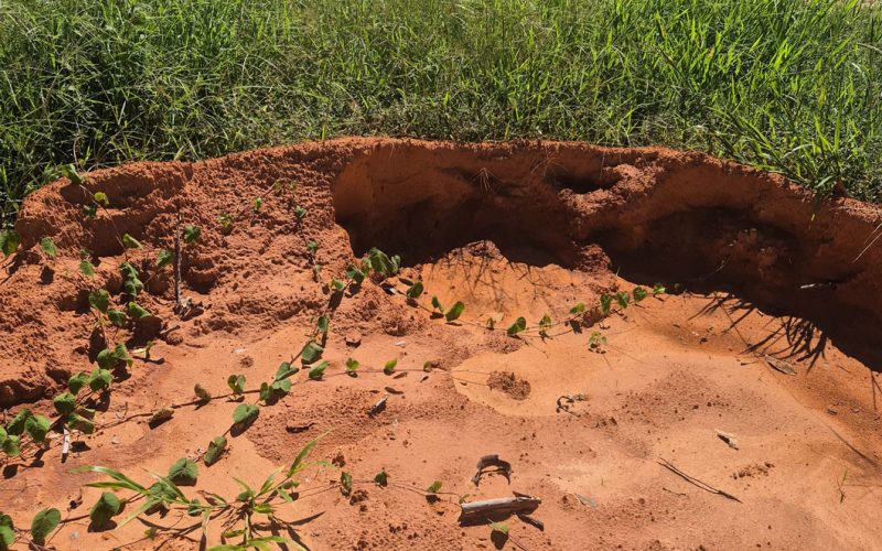 TimePhoto_20250120_100405