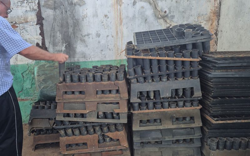 TimePhoto_20250120_101425