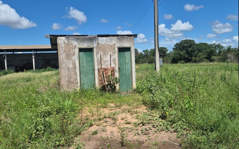 TimePhoto_20250120_101619