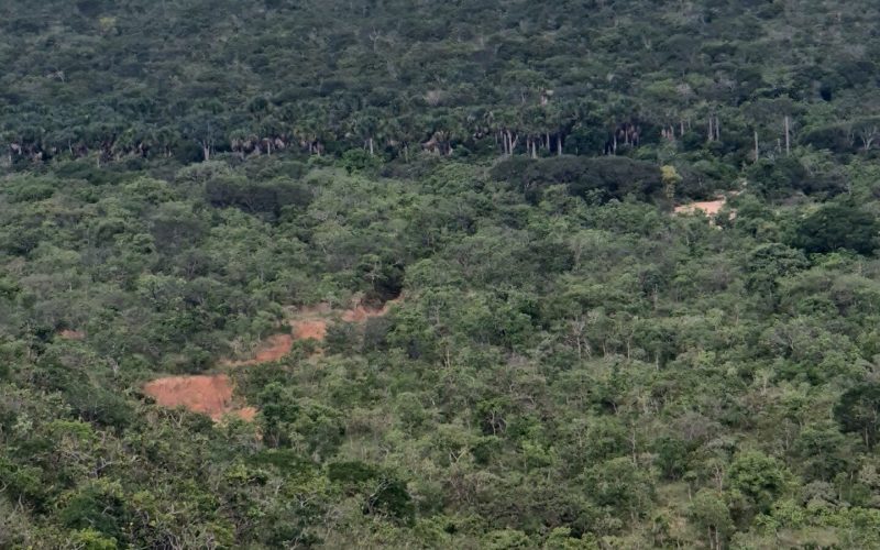 Veredas do Acari
vossoroca Torre de observacao