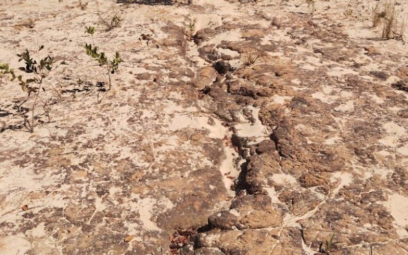 Identificação das Voçorocas
Início da ravina