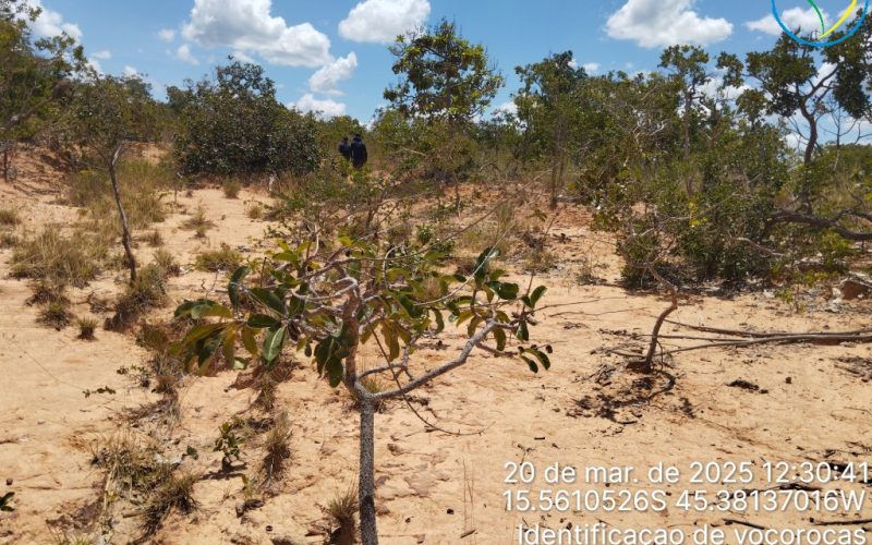 Identificaçao de voçorocas 
Diagnóstico
