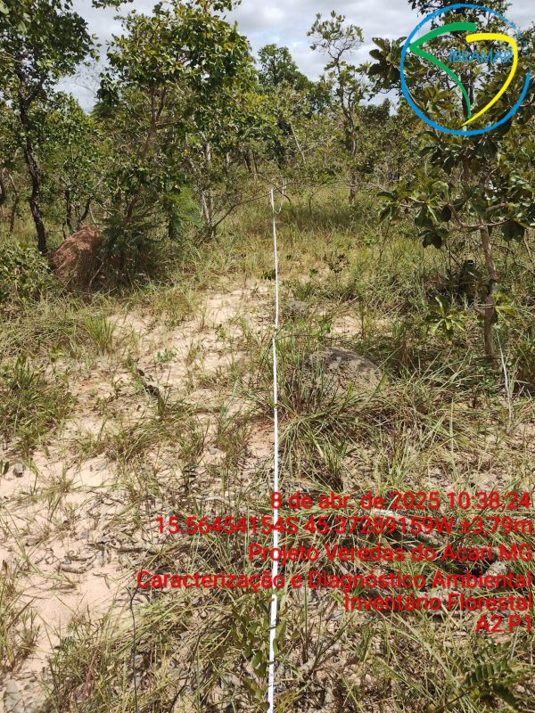 TimePhoto_20250408_103824