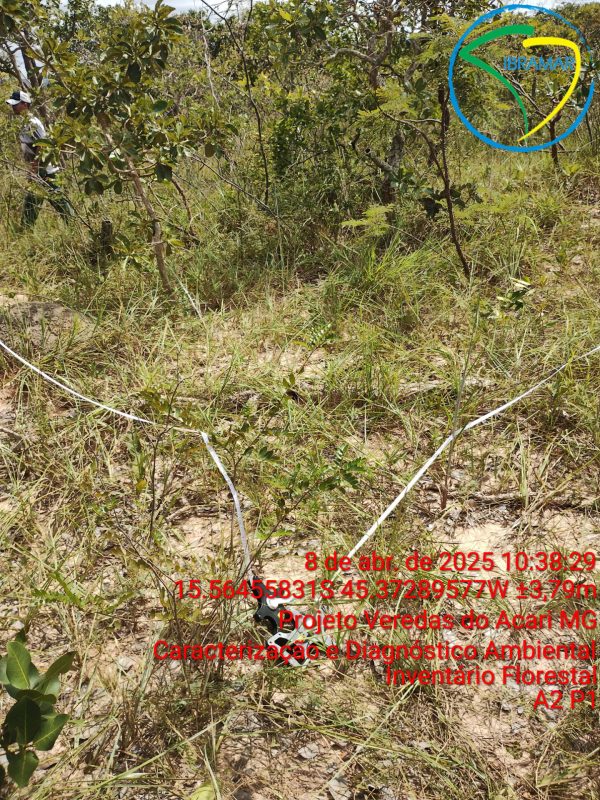 TimePhoto_20250408_103829