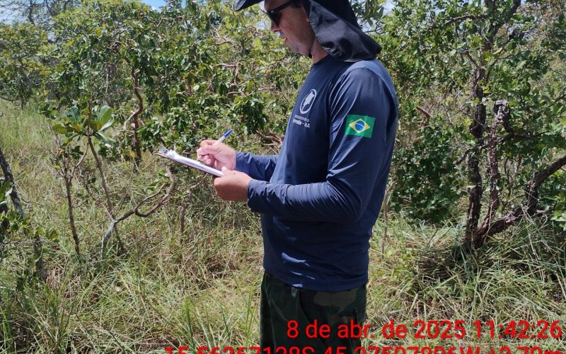 Projeto Veredas do Acari MG
Caracterização e Diagnóstico Ambiental 
Inventário Florestal
A2 P2