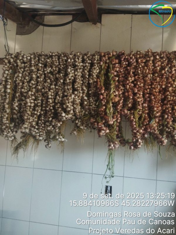 TimePhoto_20250909_132519