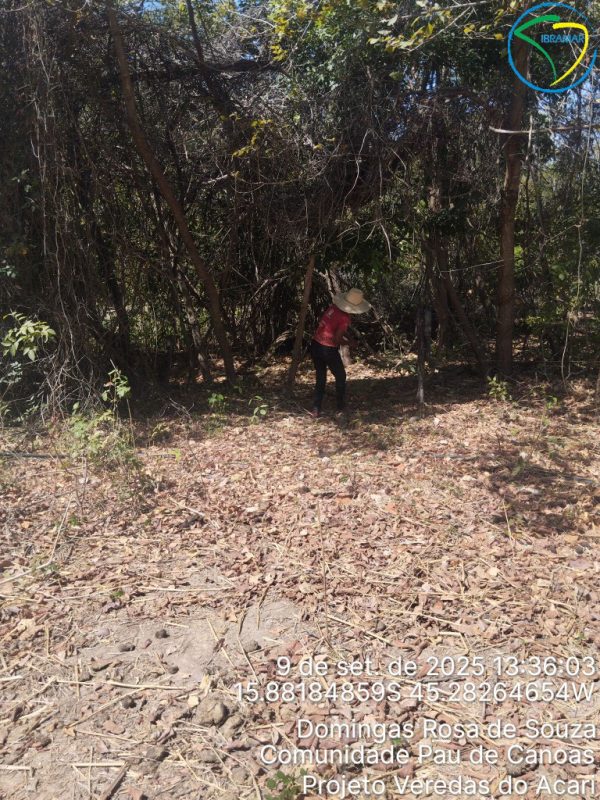 TimePhoto_20250909_133603