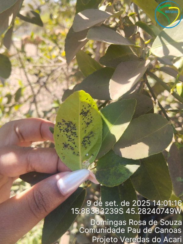 TimePhoto_20250909_140116