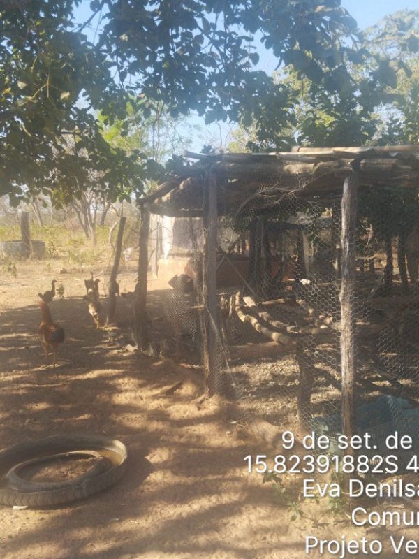 TimePhoto_20250909_150435