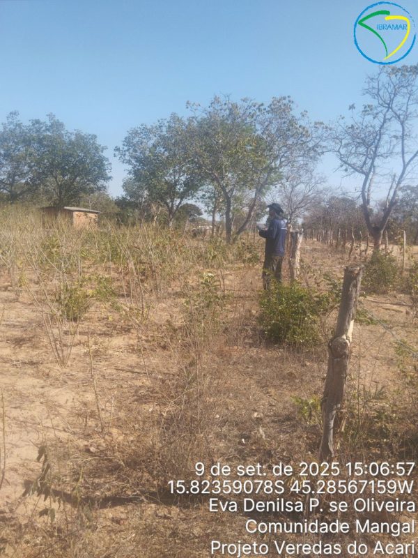 TimePhoto_20250909_150657