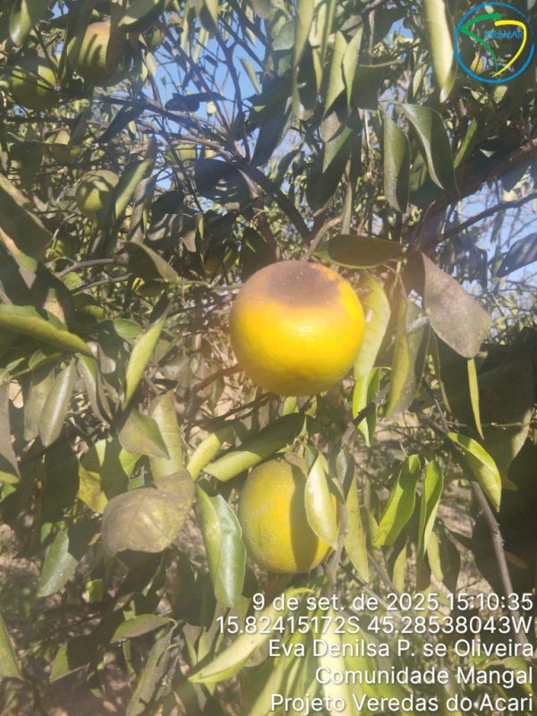 TimePhoto_20250909_151035