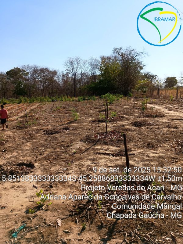 TimePhoto_20250909_153250