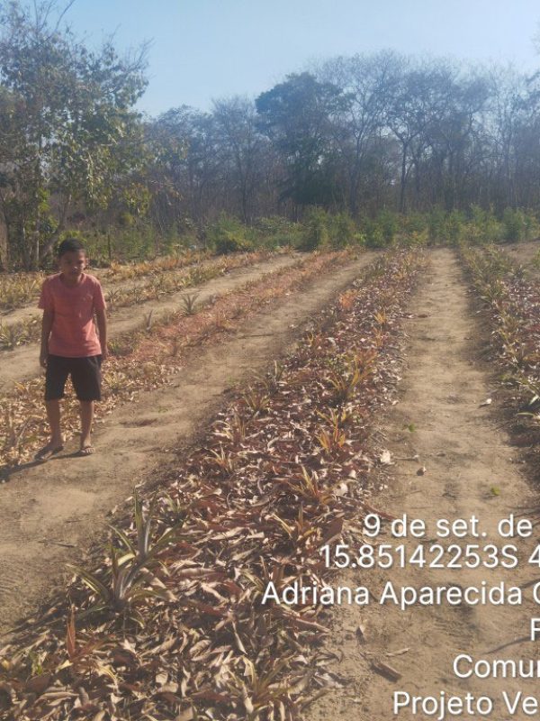 TimePhoto_20250909_153354