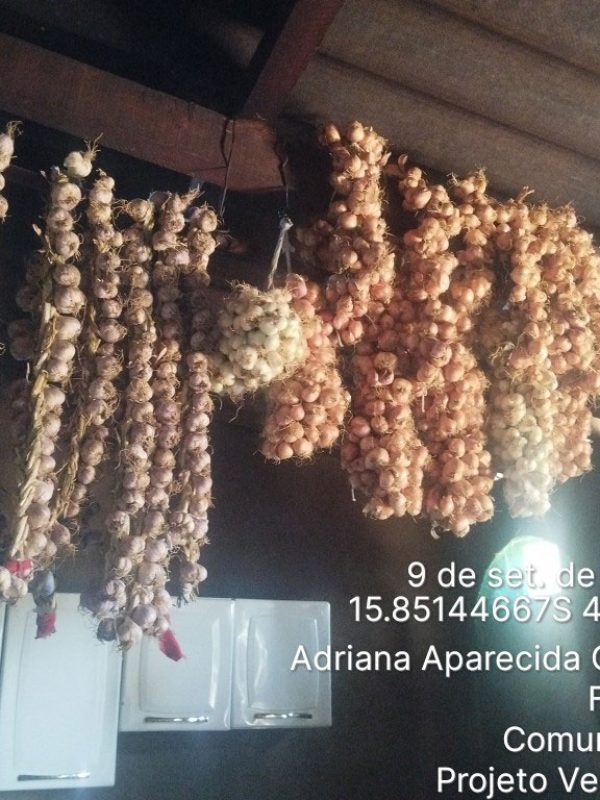 TimePhoto_20250909_160133