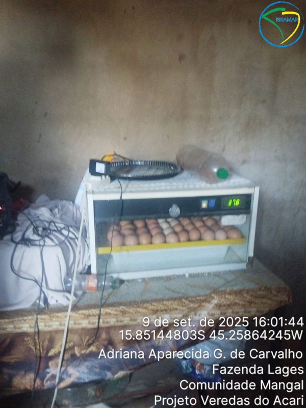 TimePhoto_20250909_160144