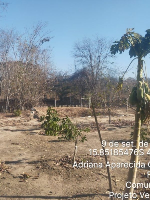 WhatsApp Image 2025-09-17 at 3.33.02 PM (3)