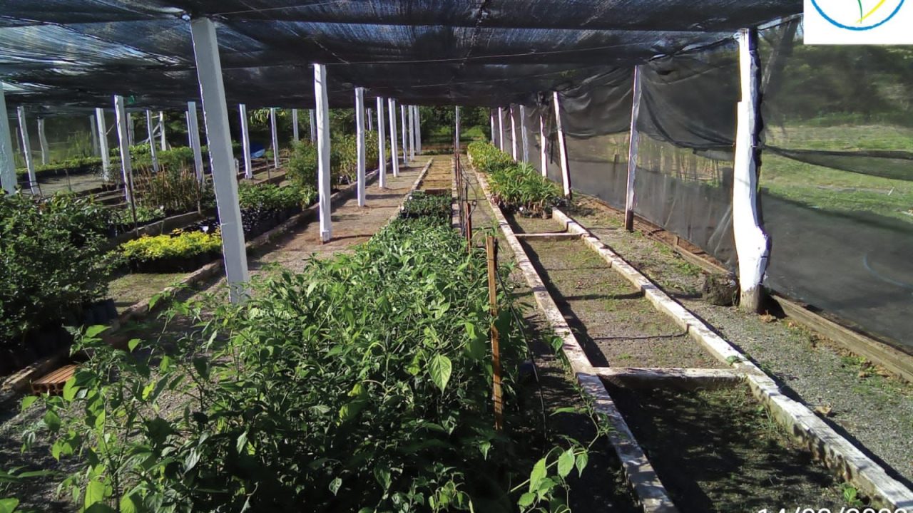 7306d67b-2950-45e7-8ff9-75ad17593bf6