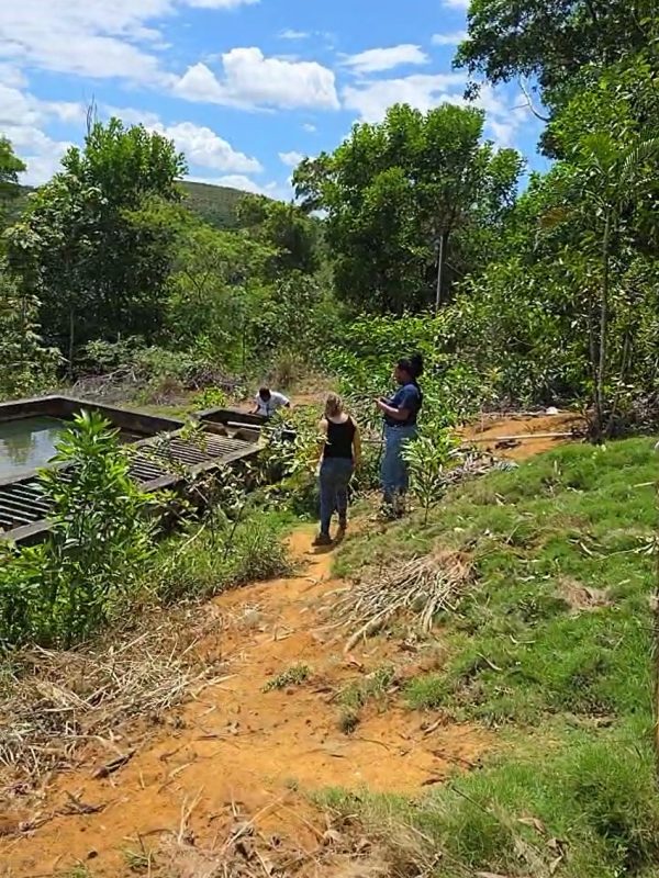 Captura de tela 2025-11-14 180518