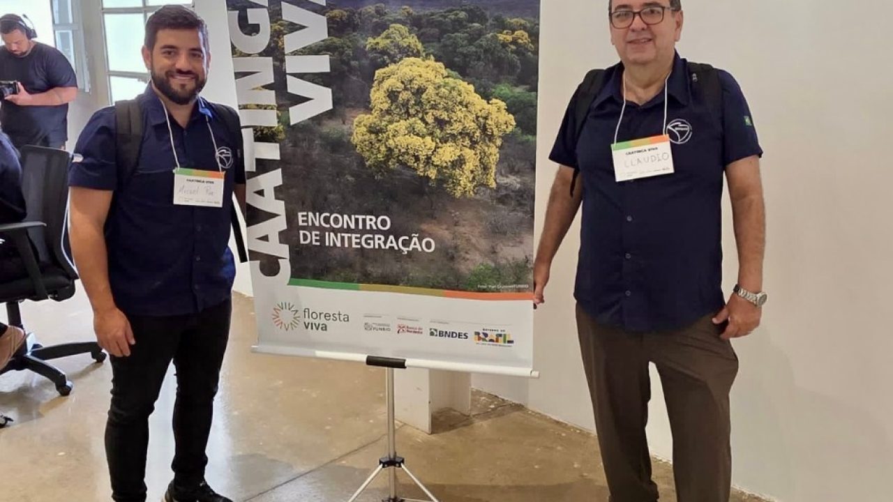 Design sem nome (20)