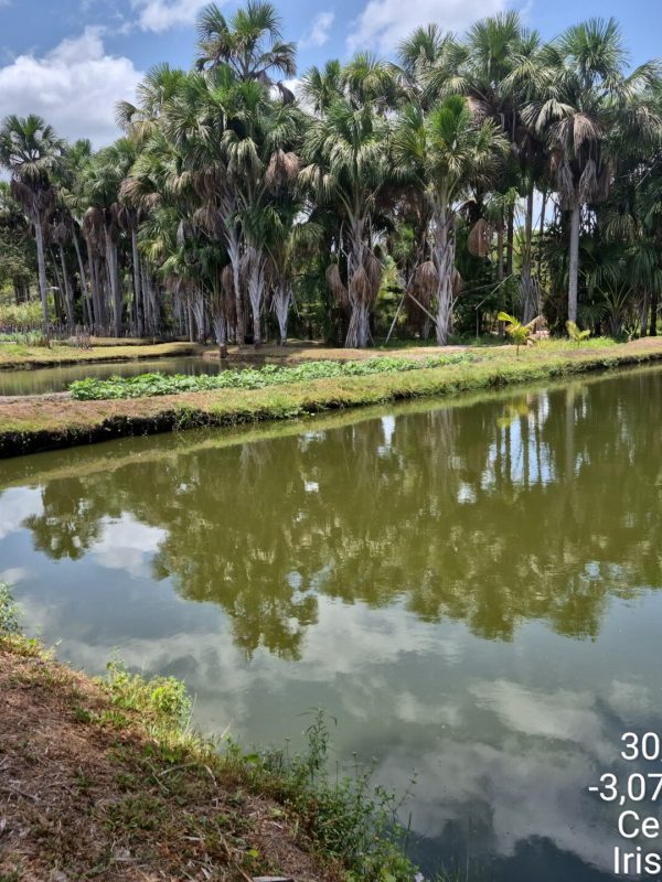 Cerrado Resiliente
Irismar e Jeremias