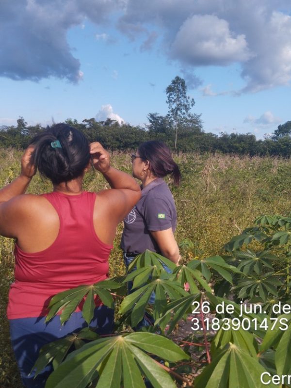 Marinalva
Visitas ATER
Cerrado Resiliente