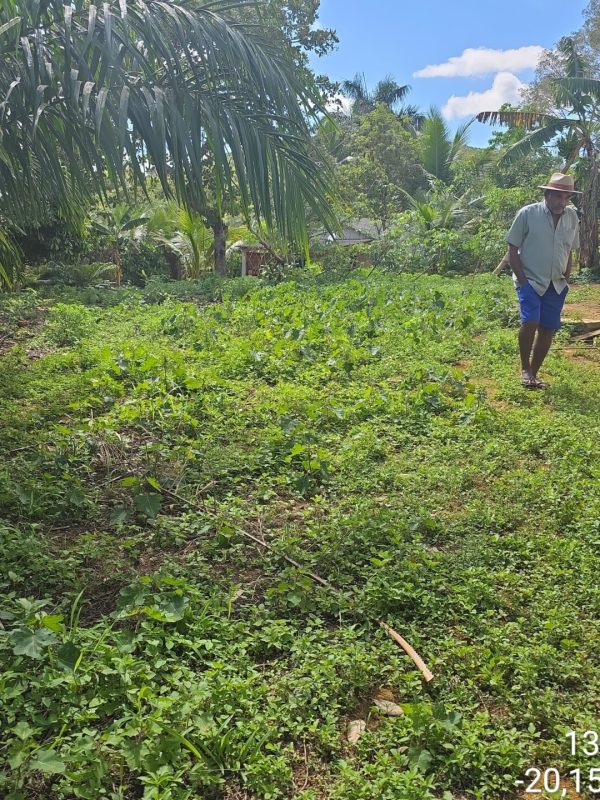 TimePhoto_20251113_084354