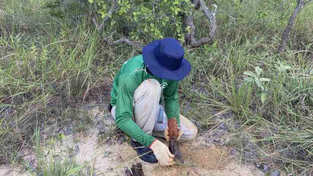 Veredas-do-acari-implantacao