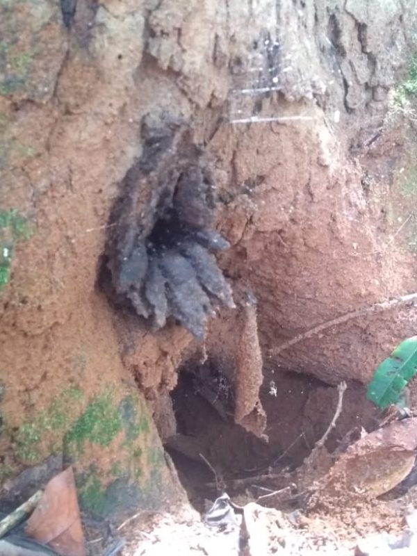 WhatsApp Image 2019-03-28 at 14.16.44 (4)