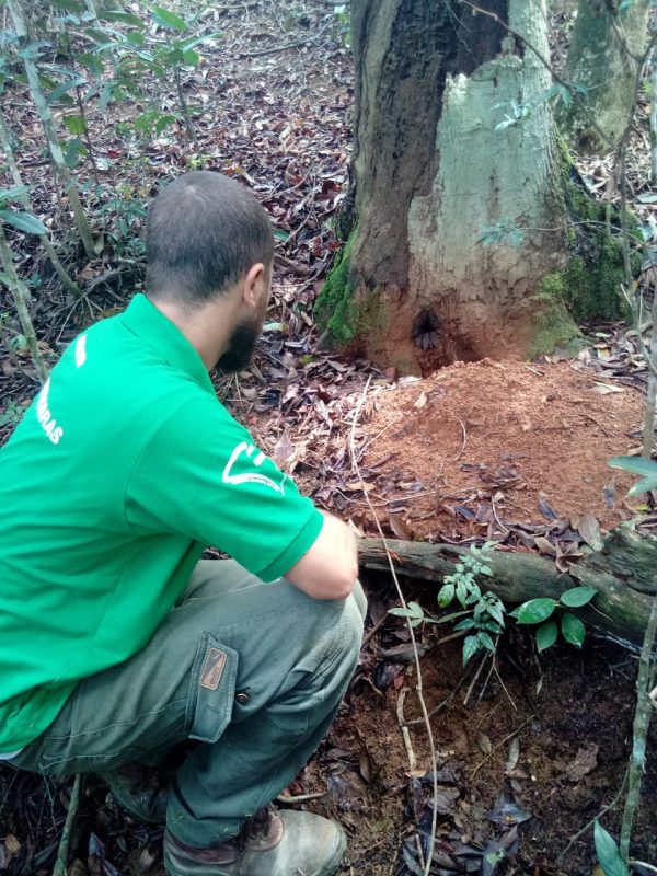 WhatsApp Image 2019-03-28 at 14.16.45 (2)